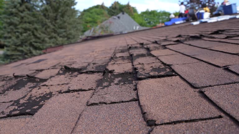 Best Flat Roofing  in Wayne, MI