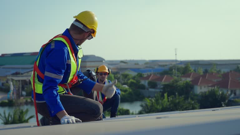 Best Roof Insulation Installation  in Wayne, MI