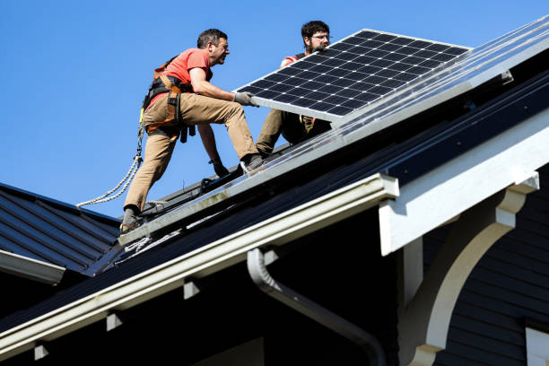 Best Asphalt Shingles Roofing  in Wayne, MI